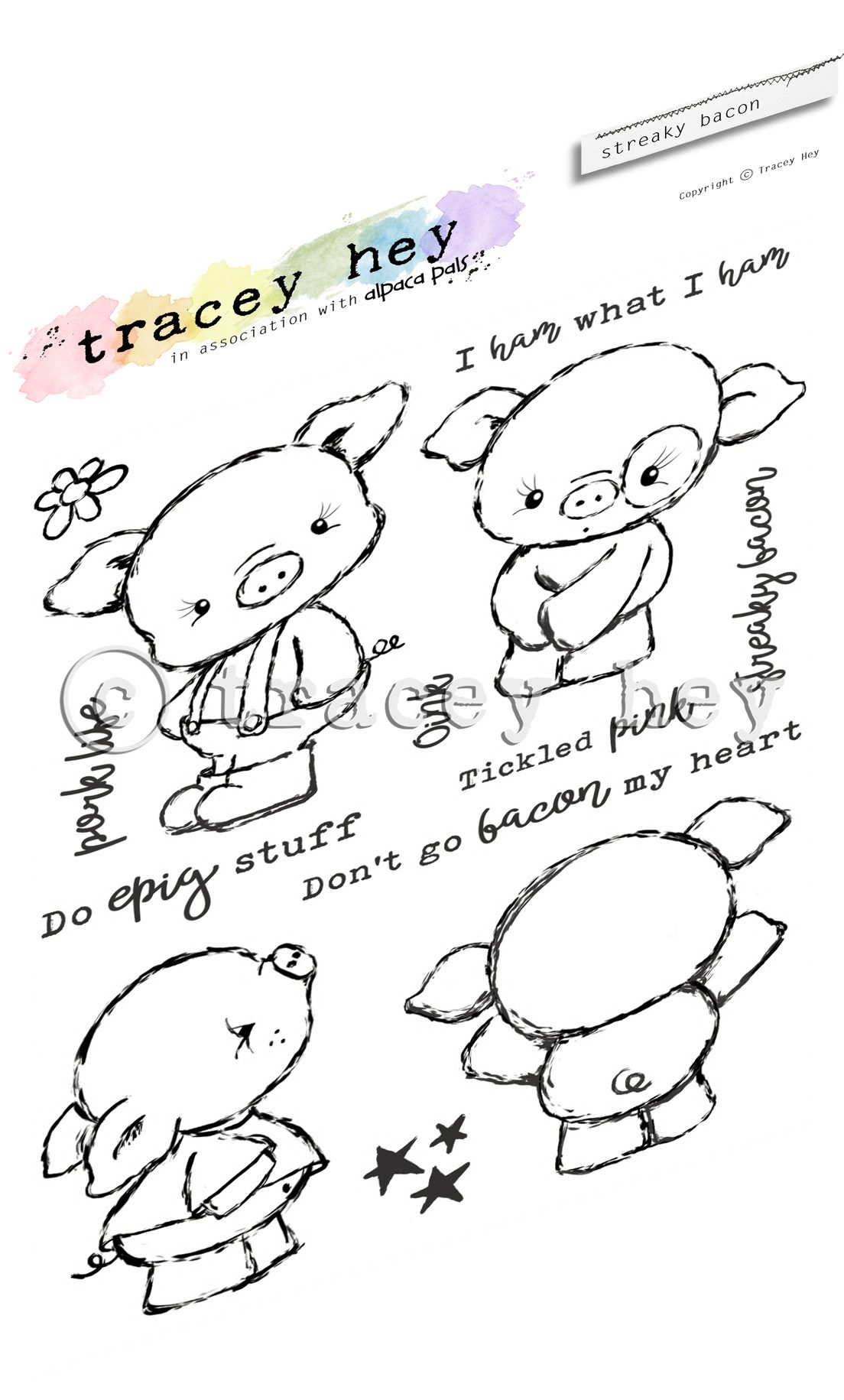 Tracey Hey "Streaky Bacon" A6 Stamp Set