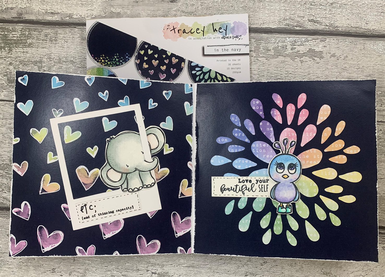 Paper Pad - In the Navy - Image 2
