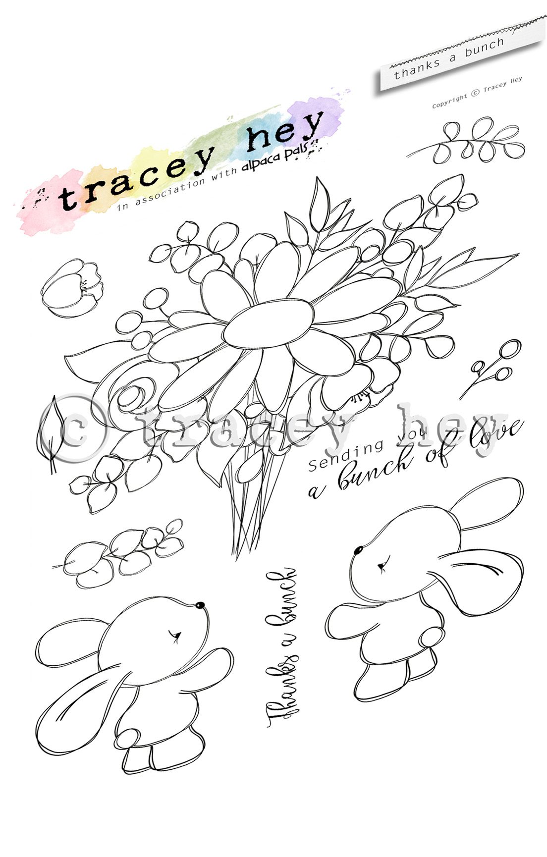 Tracey Hey "Thanks a Bunch" A5 Stamp Set