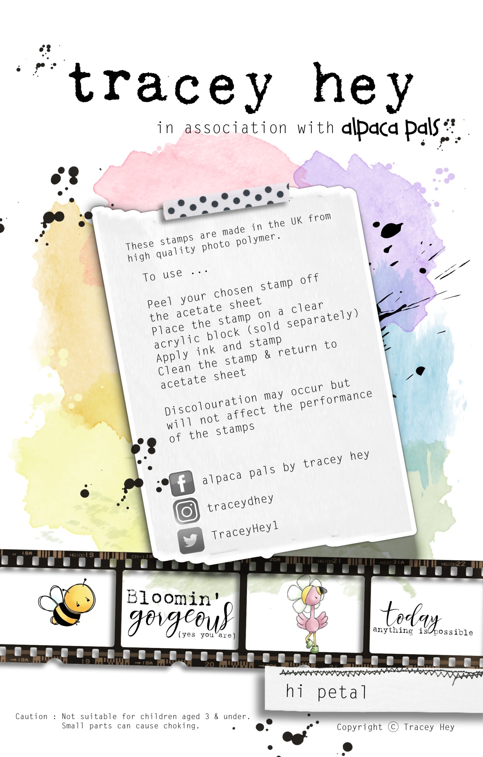 Tracey Hey "Hi Petal" A5 Stamp Set - Image 2