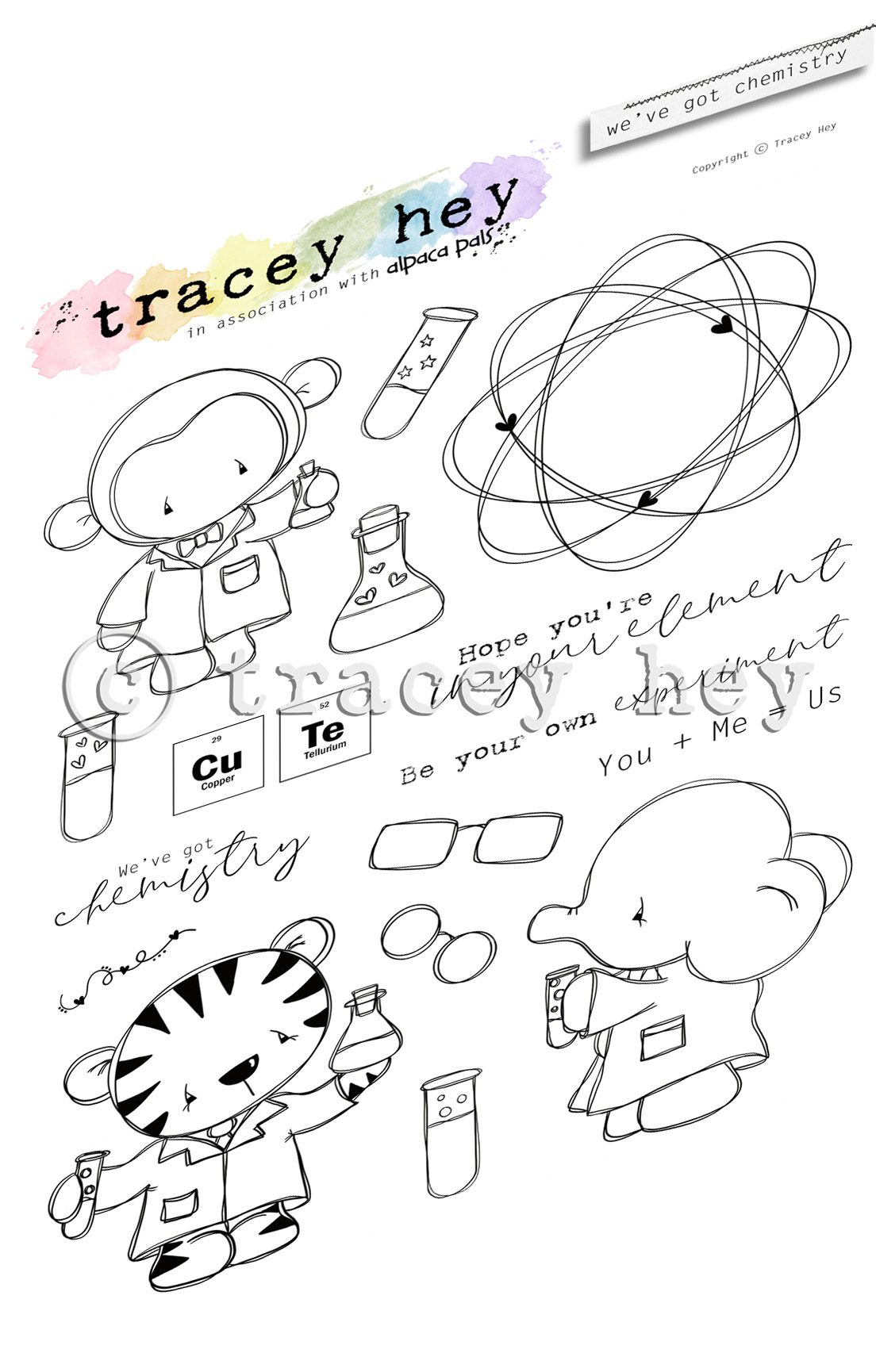 Tracey Hey "We've Got Chemistry" A5 Stamp Set