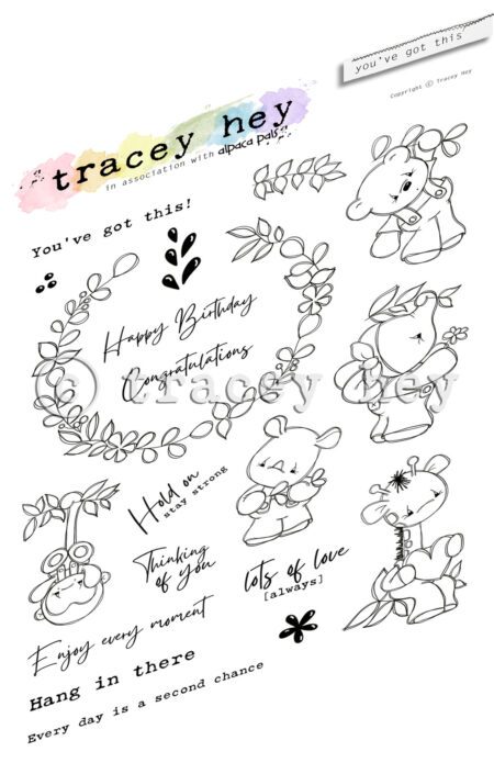 Tracey Hey "You've Got This" A5 Stamp Set
