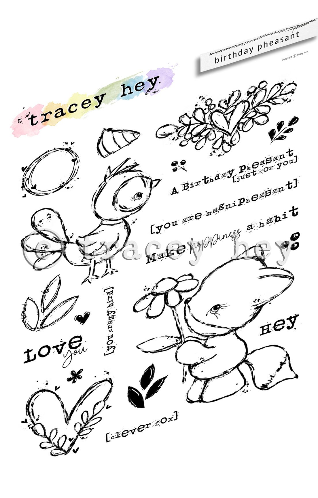 Tracey Hey "Birthday Pheasant" A5 Stamp Set