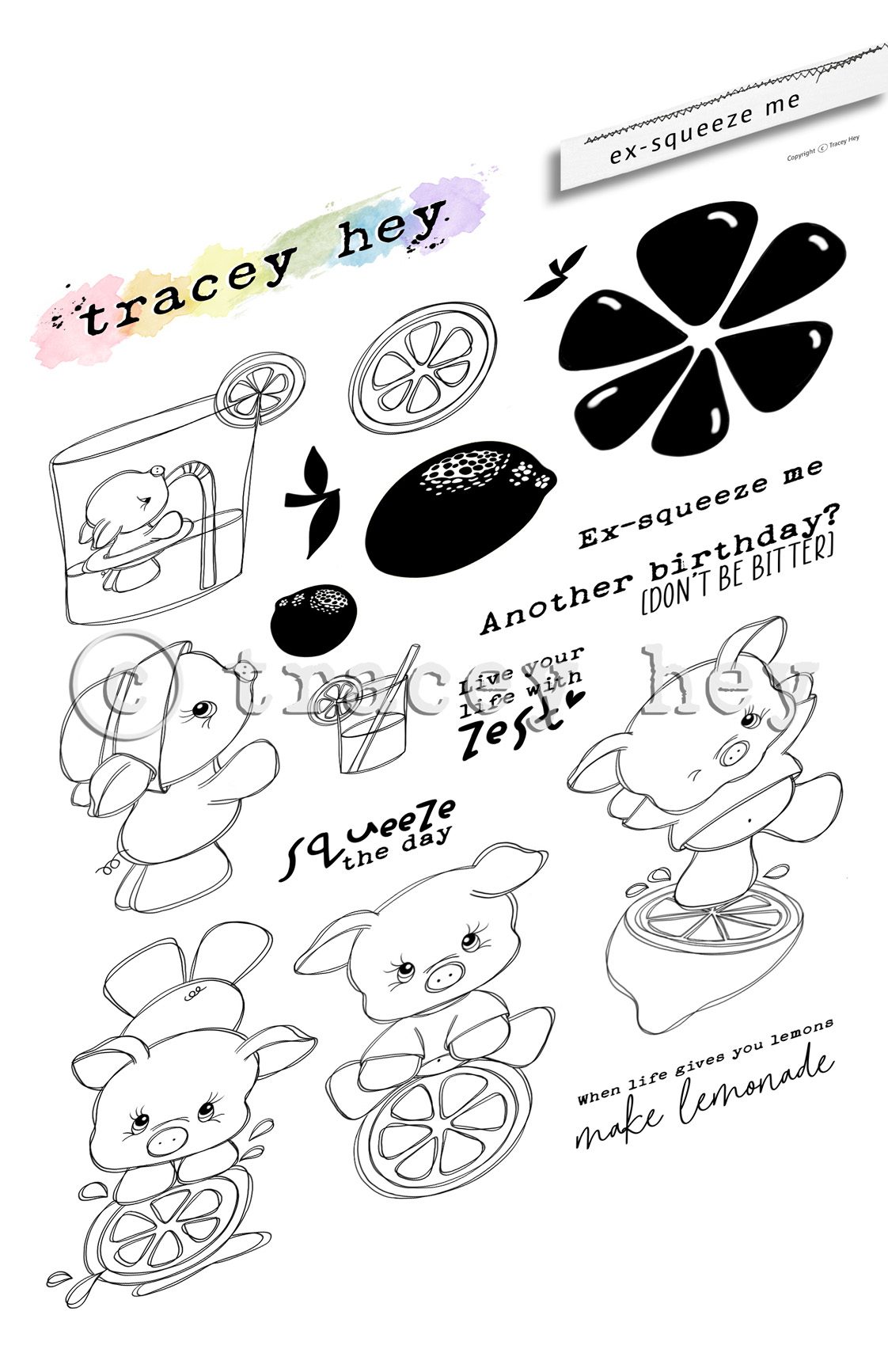 Tracey Hey "Ex-Squeeze Me" A5 Stamp Set