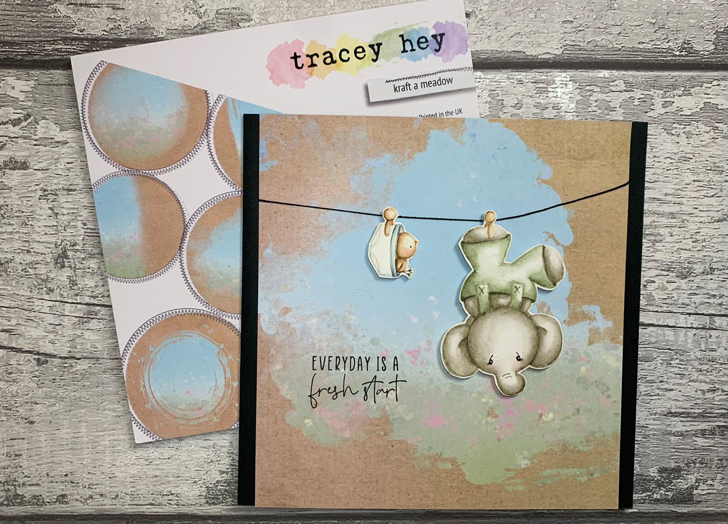 Tracey Hey "Hang in There II" A5 Stamp Set - Image 7