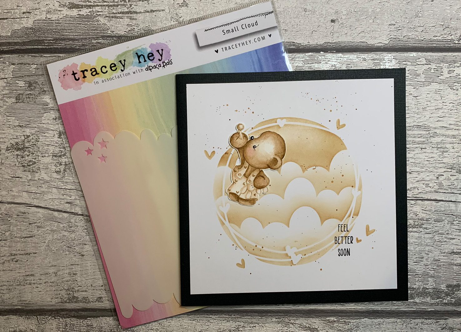 Tracey Hey "Hang in There II" A5 Stamp Set - Image 8