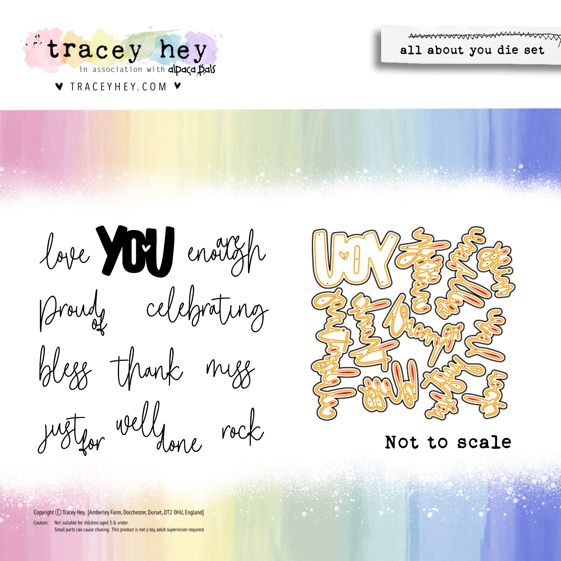 Tracey Hey "All About You Die Set"