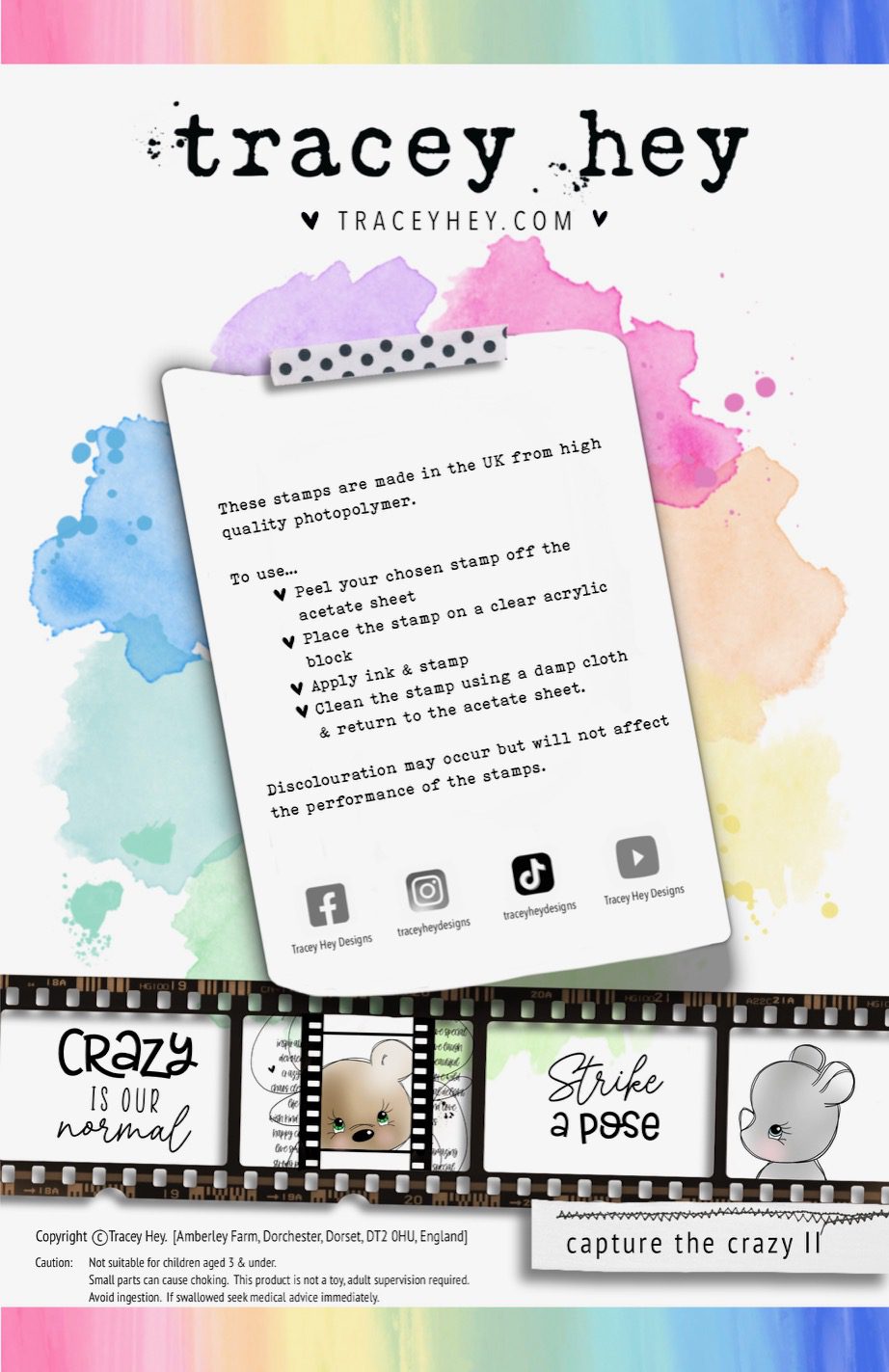 Tracey Hey "Capture the Crazy II" A5 Stamp Set - Image 2