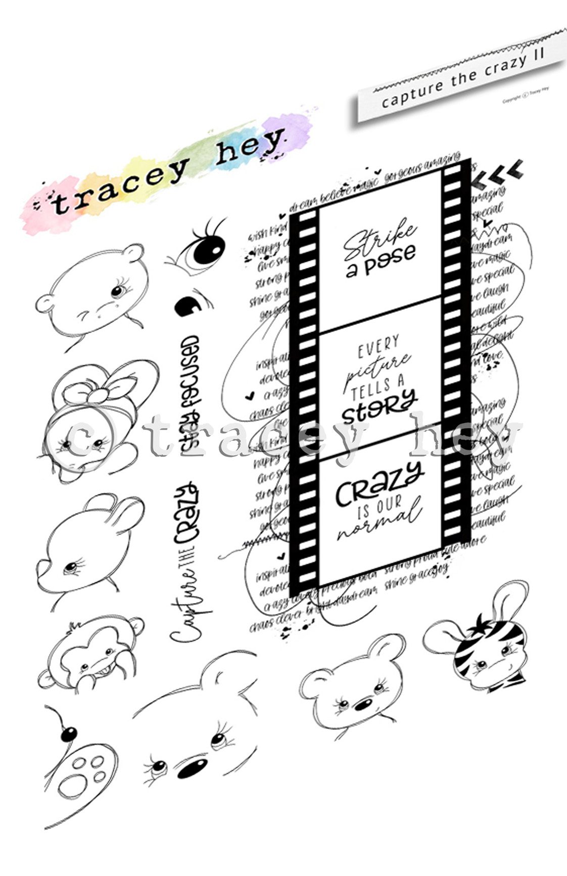 Tracey Hey "Capture the Crazy II" A5 Stamp Set