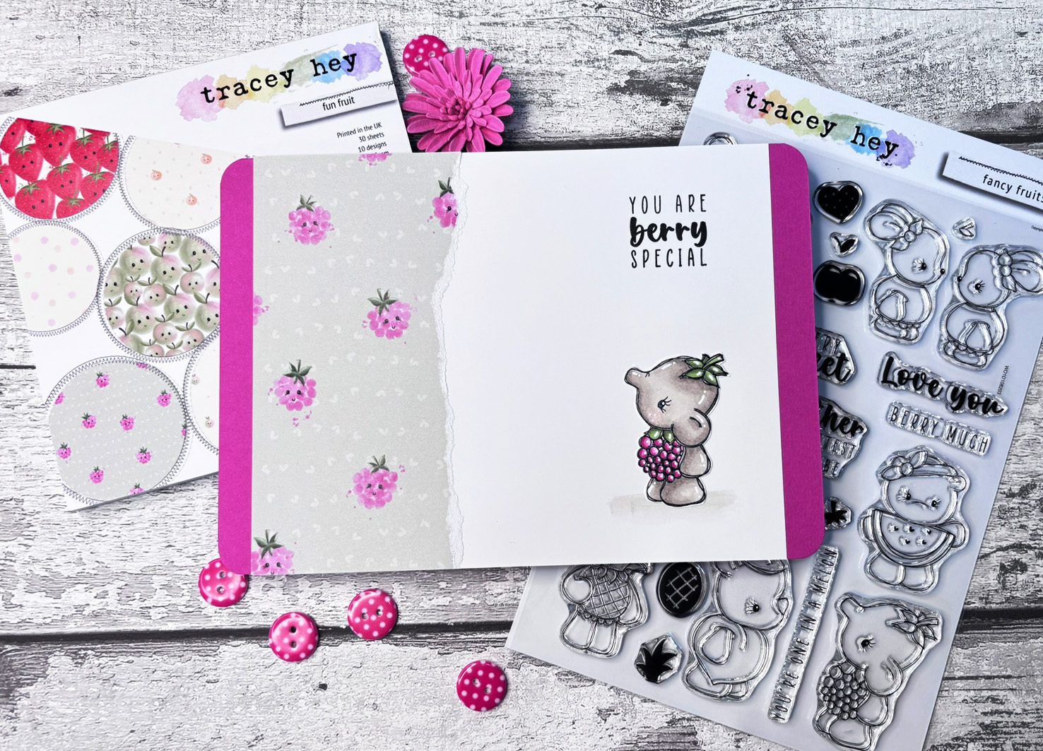 Tracey Hey "Fancy Fruits" A5 Stamp Set - Image 7